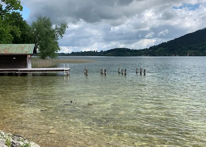 Ape Maja Bad Wiessee