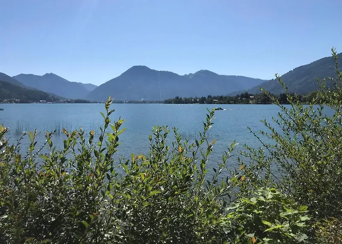 Ape Maja