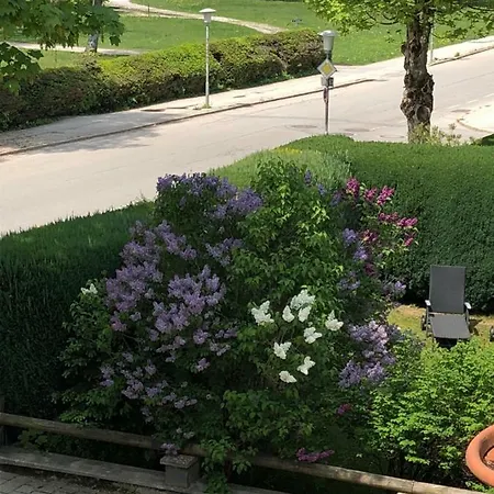 Apartmán Ape Maja *