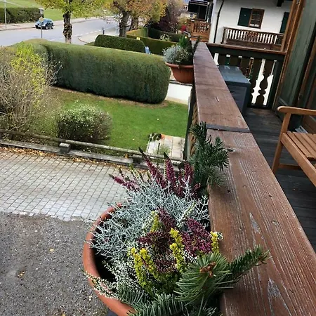 Ape Maja Bad Wiessee