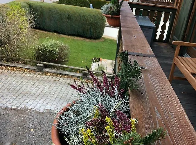 Ape Maja Bad Wiessee